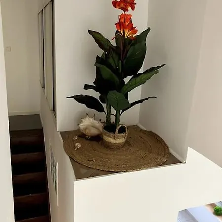 Mer, Soleil Et Vacances Appartement